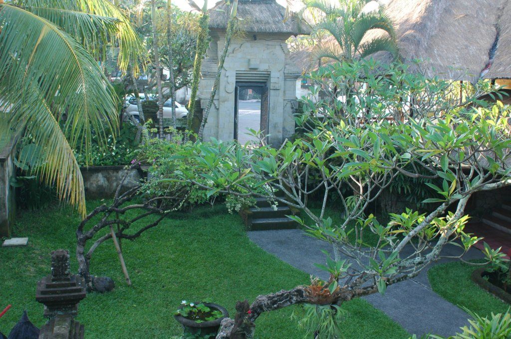 Why Balinese Women Use Frangipani: Ancient Flower, Modern Skin Secret